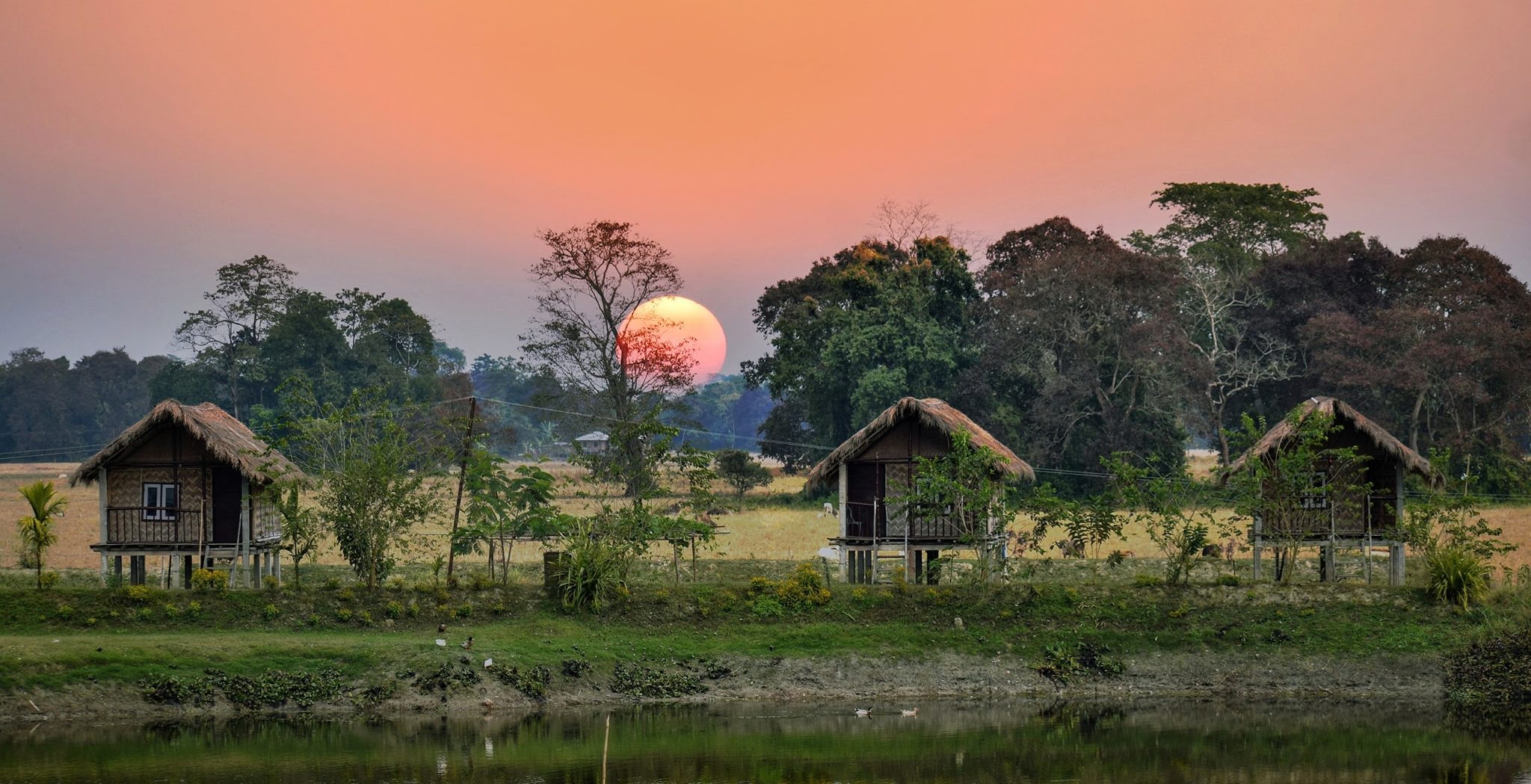 Assam Introduces Inside The State Tourism Discover East Travel