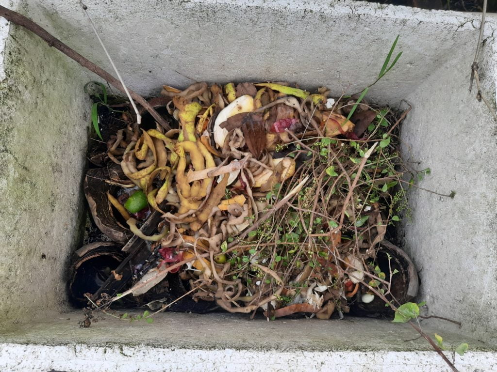 Compost