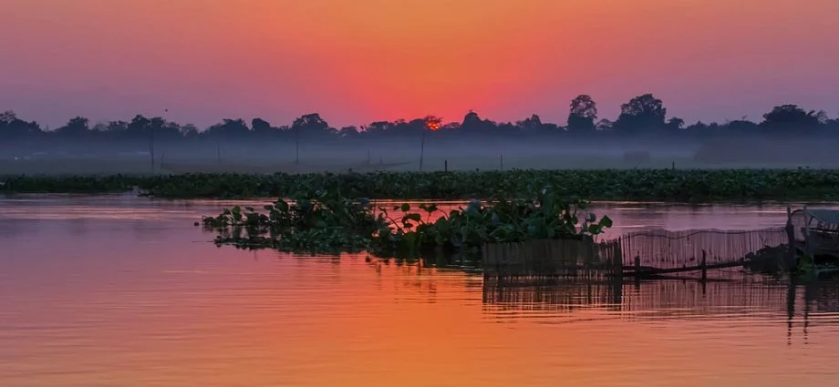 Maguri Beel by Tridip Dutta Photography