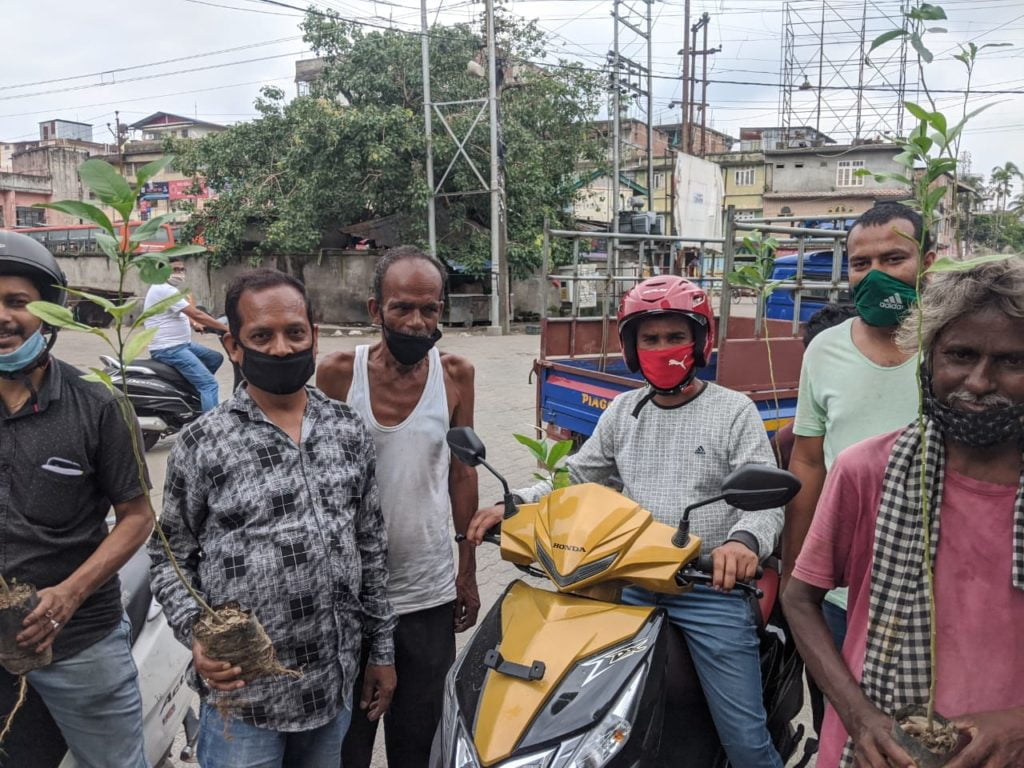 Saplings Distributed to public 