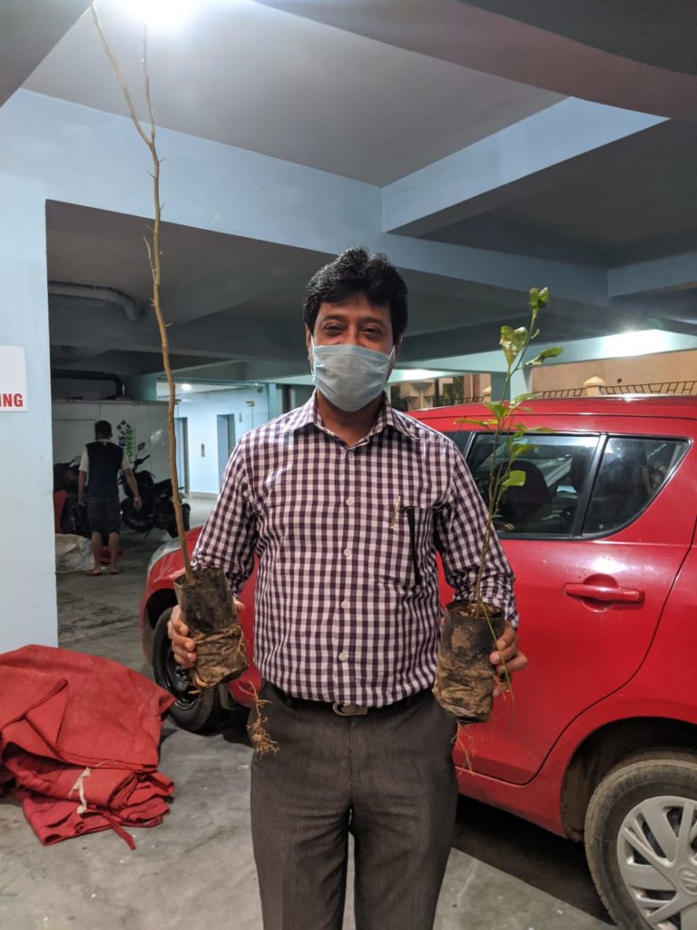 Saplings Distributed at the Nest