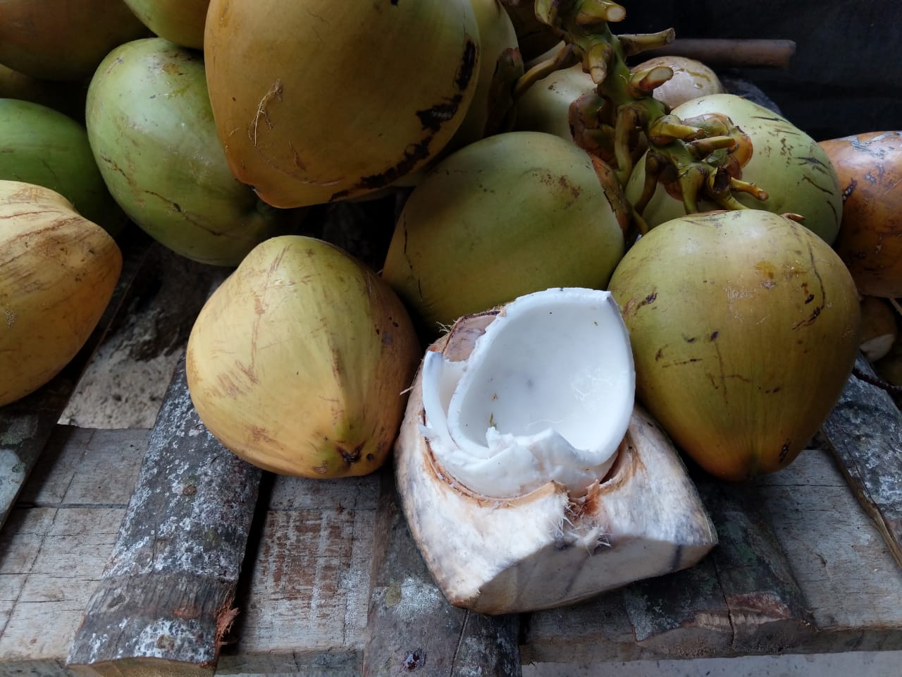 Narikolor Byanjon : Coconut Delicacies in Assam - Discover East - Food