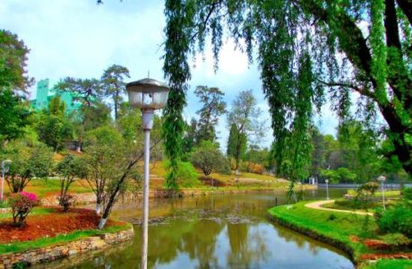 Ward's Lake. Source: Tripadvisor