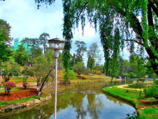 Ward's Lake. Source: Tripadvisor