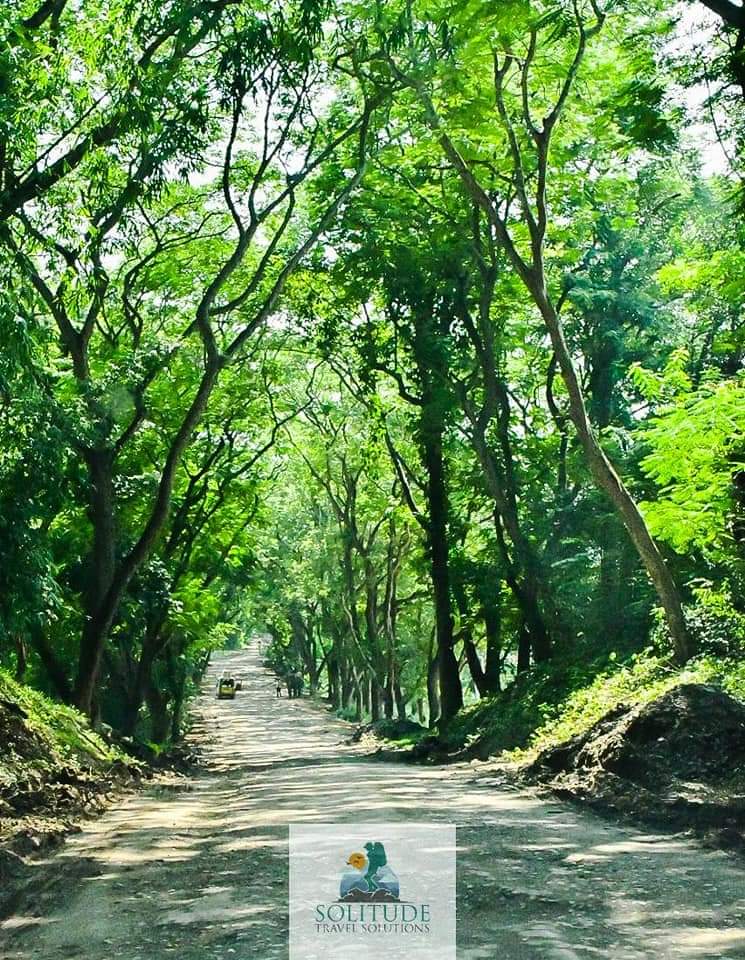 Way to Haflong . Source : Solitude travel solutions