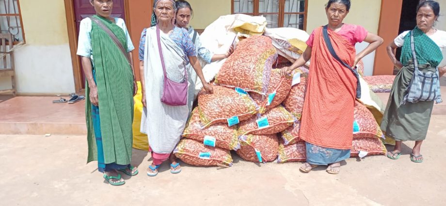 Women with the Lakadong Turmeric