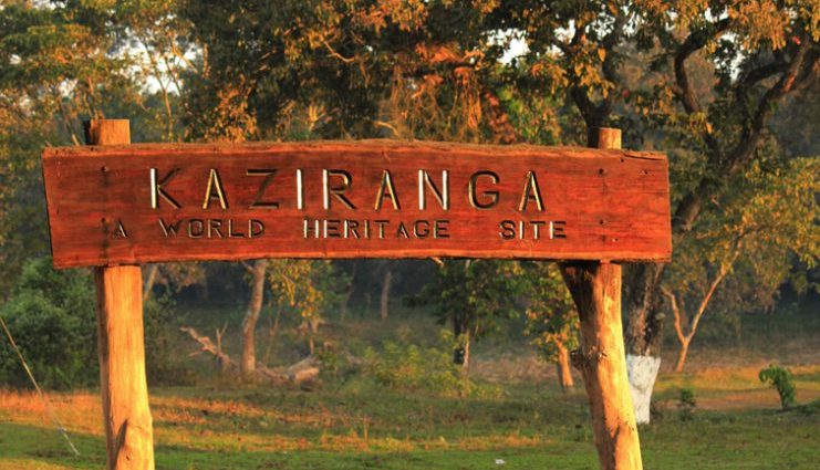 kaziranga national park